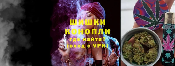 соль ск Богданович