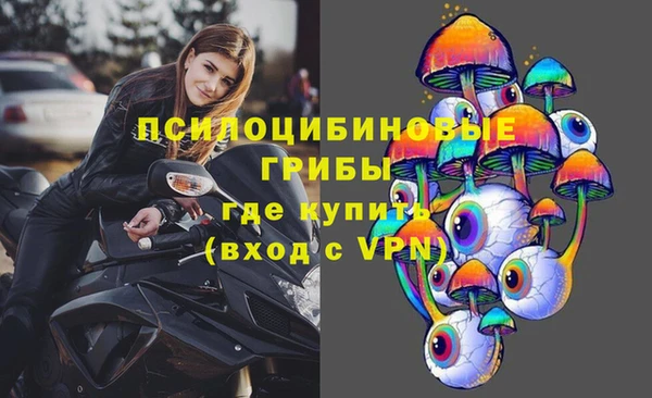 соль ск Богданович