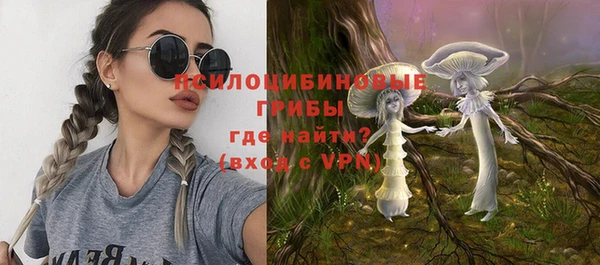 соль ск Богданович